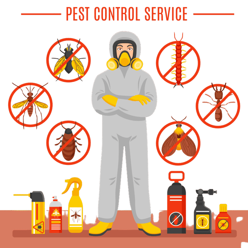 Untitled design 2 scaled